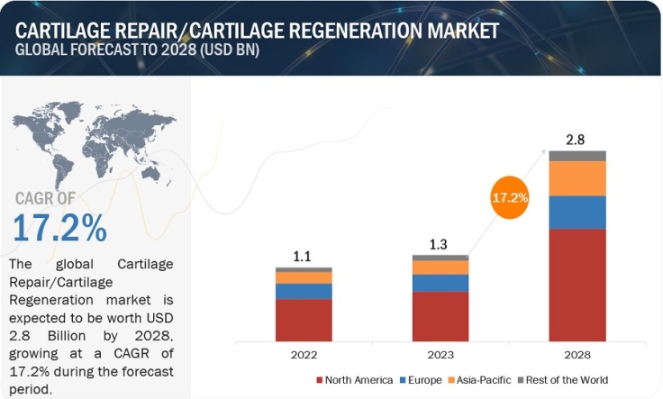 Strategies for Success in the Cartilage Repair Market: Insights and Analysis